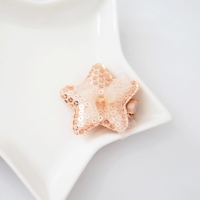 Girl Hair Clip Star Sequins (GHP8542)